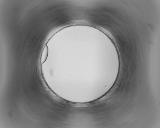 X0000110921440200907301553
