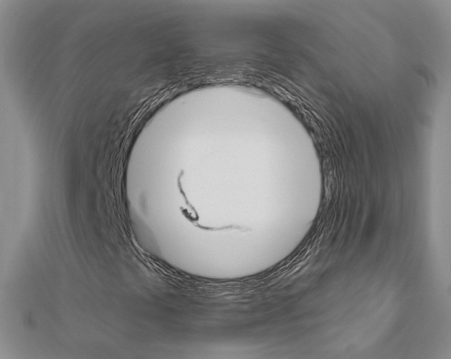 X0000110921441200907301552