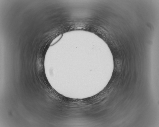 X0000110921442200907301552