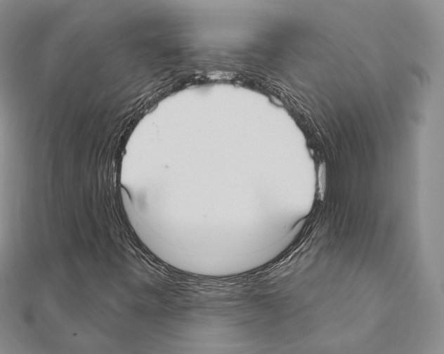 X0000110921443200907301552