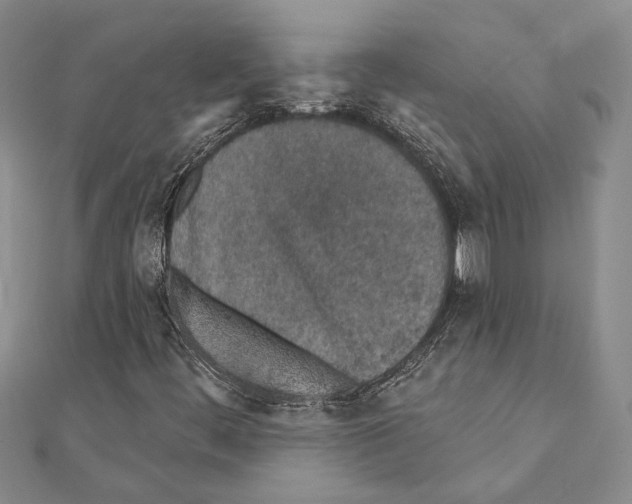 X0000110921444200907301552