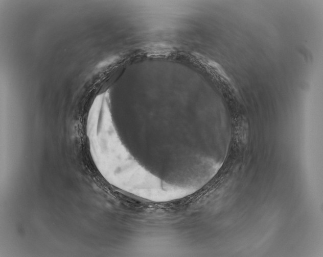 X0000110921445200907301552