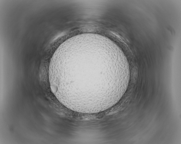 X0000110921446200907301552