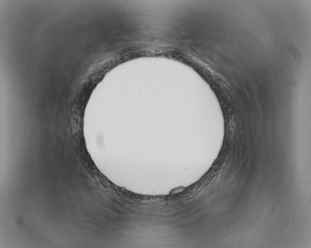 X0000110921447200907301552