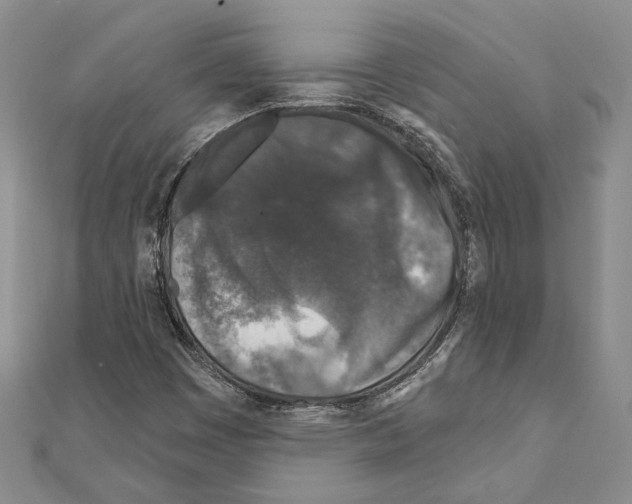 X0000110921449200907301552