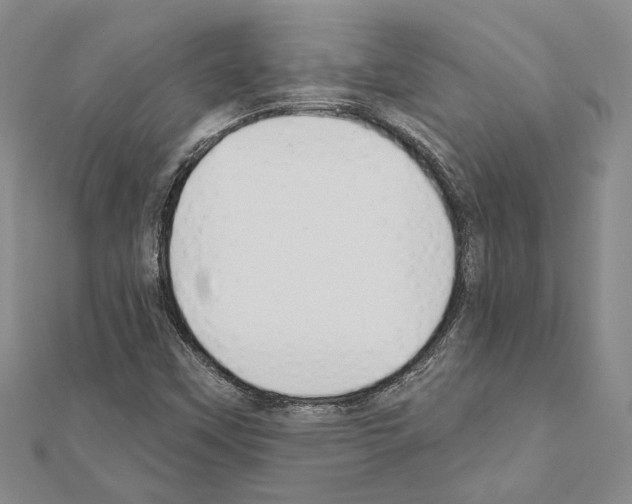 X0000110921451200907301552