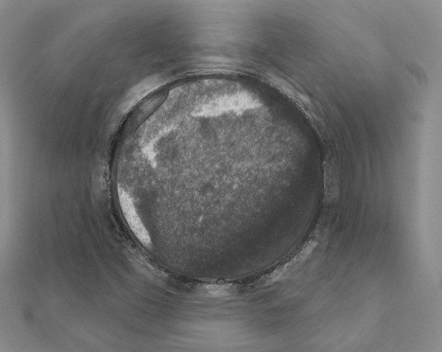 X0000110921453200907301552