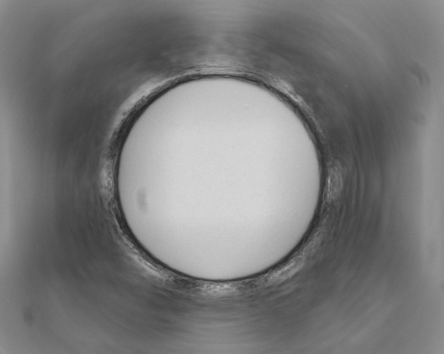 X0000110921454200907301552