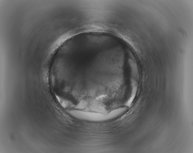 X0000110921455200907301552