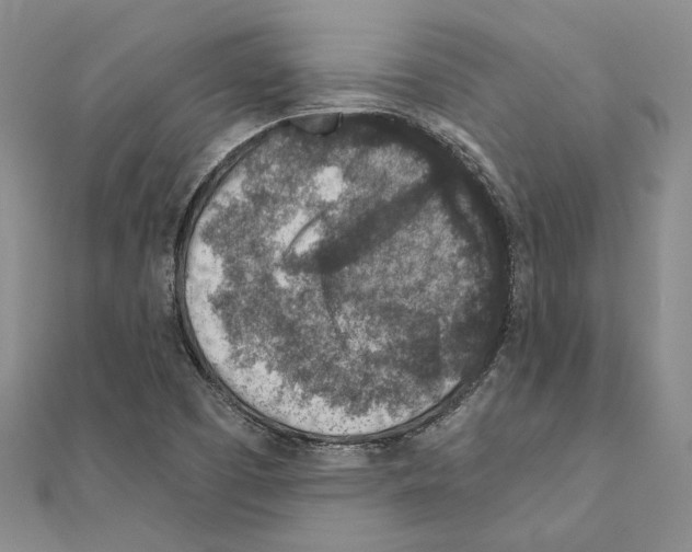 X0000110921457200907301552