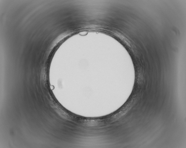 X0000110921458200907301552