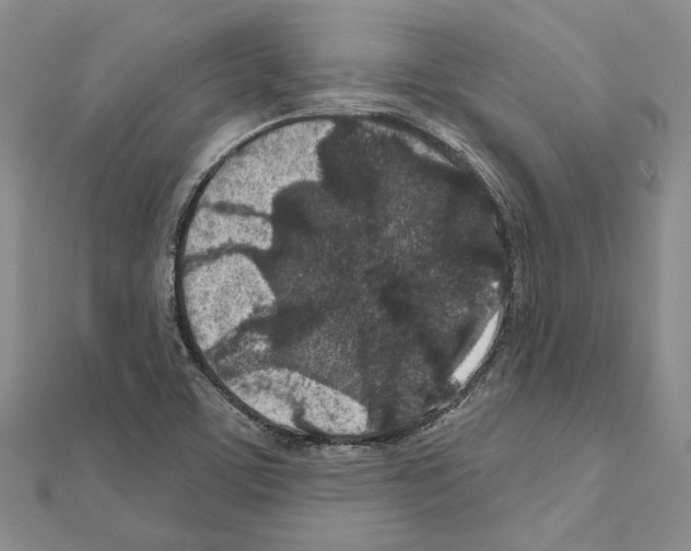 X0000110921459200907301552