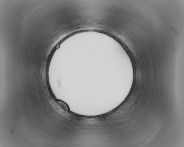 X0000110921460200907301552
