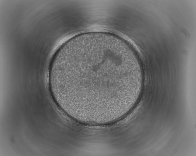 X0000110921461200907301552
