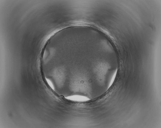 X0000110921463200907301552