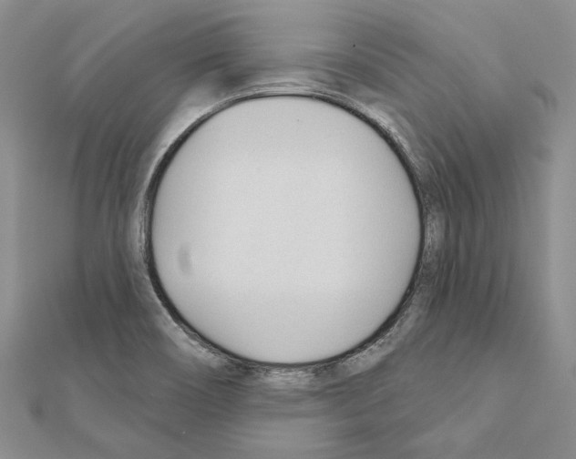 X0000110921466200907301552