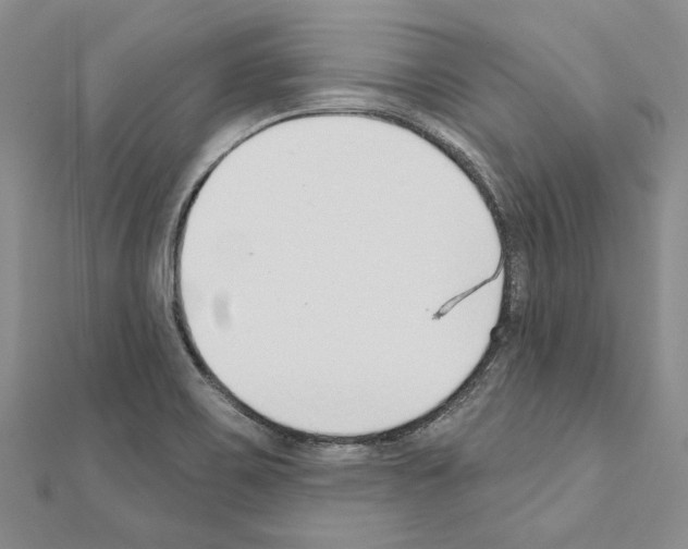 X0000110921467200907301552