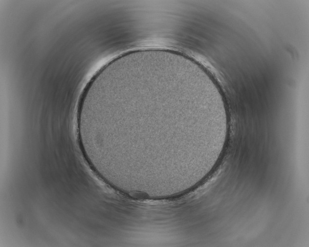 X0000110921469200907301552