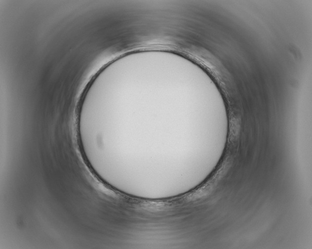 X0000110921470200907301552