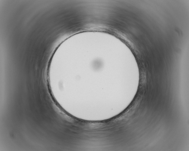 X0000110921471200907301552