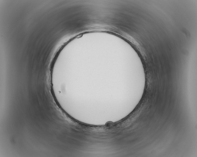 X0000110921472200907301552