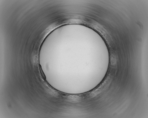 X0000110921473200907301552