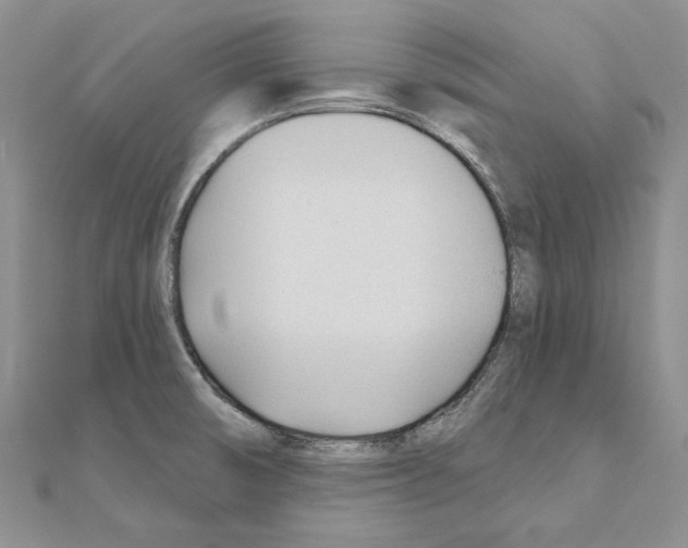 X0000110921474200907301552