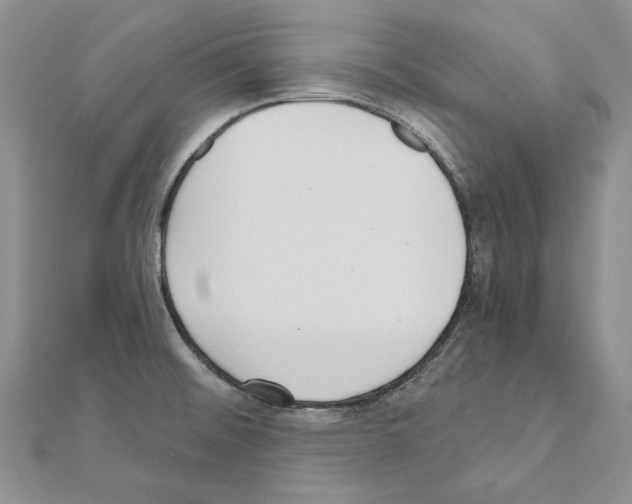 X0000110921476200907301552