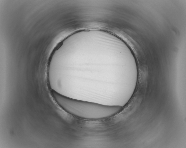 X0000110921477200907301552