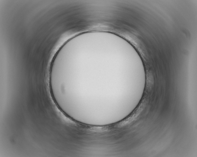 X0000110921478200907301552