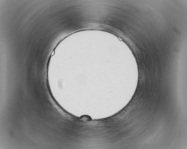 X0000110921479200907301552