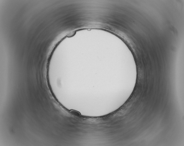 X0000110921480200907301552
