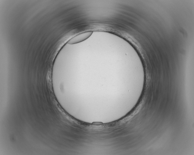 X0000110921481200907301552
