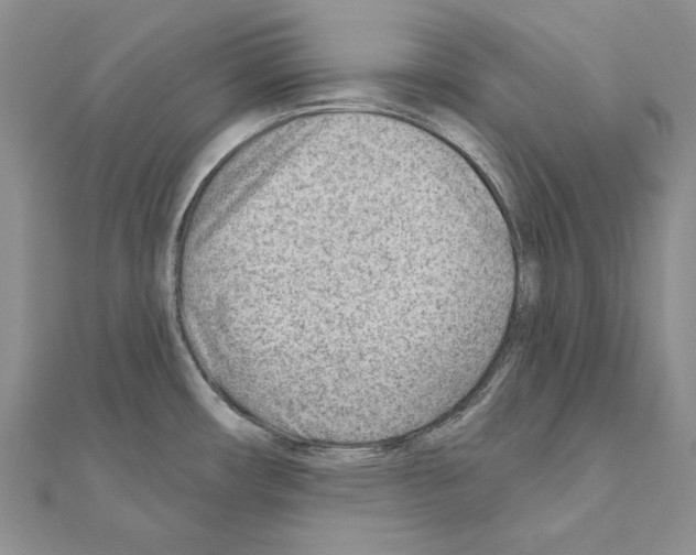 X0000110921482200907301552