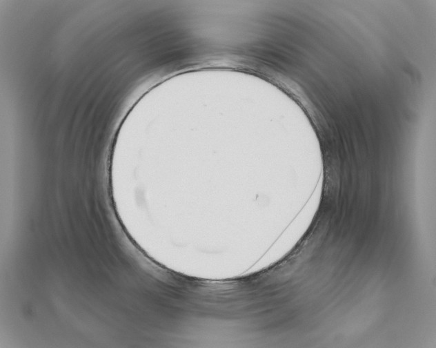 X0000110921483200907301552
