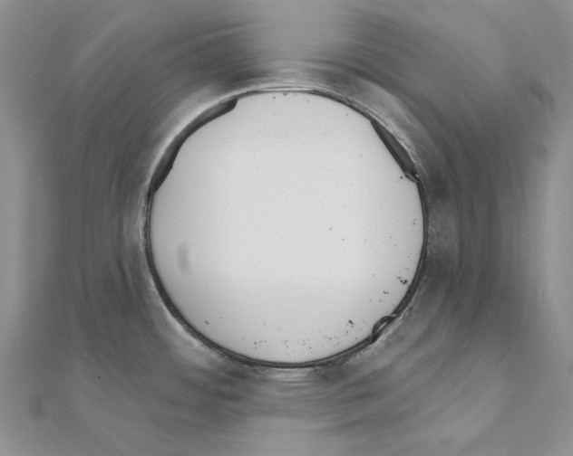 X0000110921484200907301552