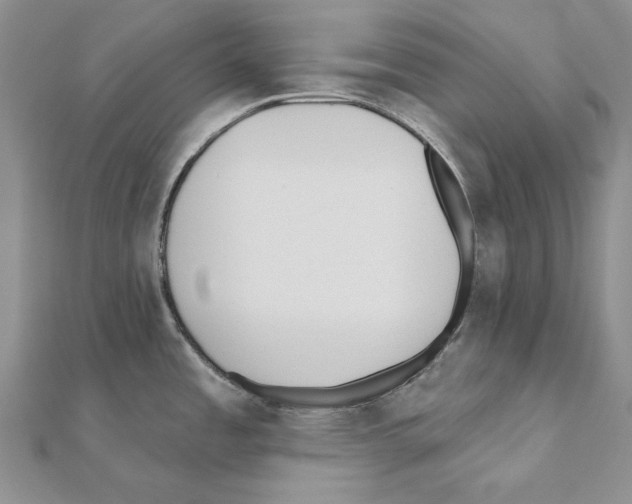 X0000110921485200907301552