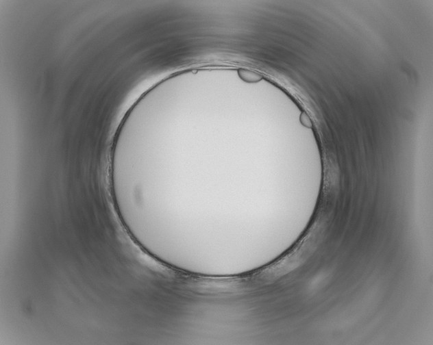 X0000110921486200907301552