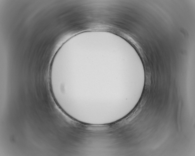X0000110921487200907301552
