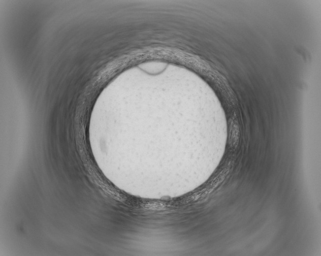 X0000110921489200907301551