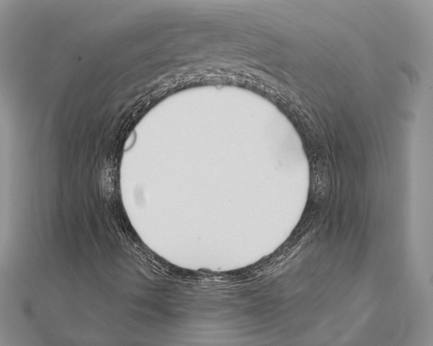 X0000110921490200907301551