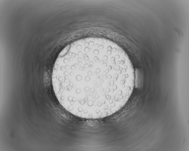 X0000110921491200907301551