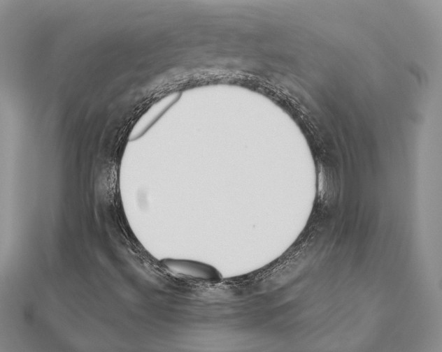 X0000110921492200907301551