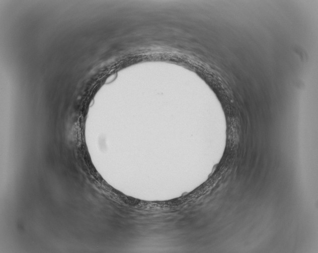 X0000110921493200907301551