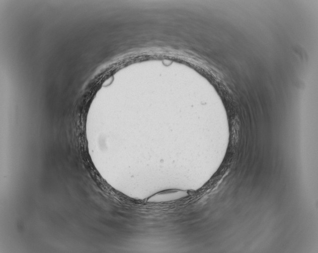 X0000110921494200907301551