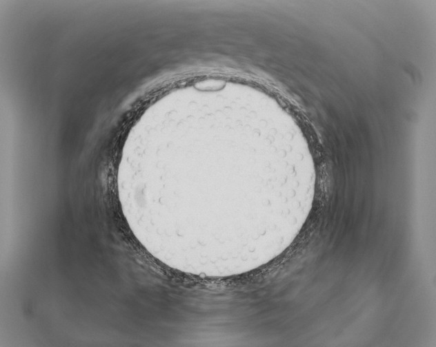 X0000110921495200907301551