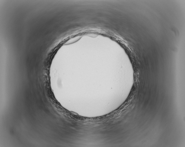 X0000110921496200907301551