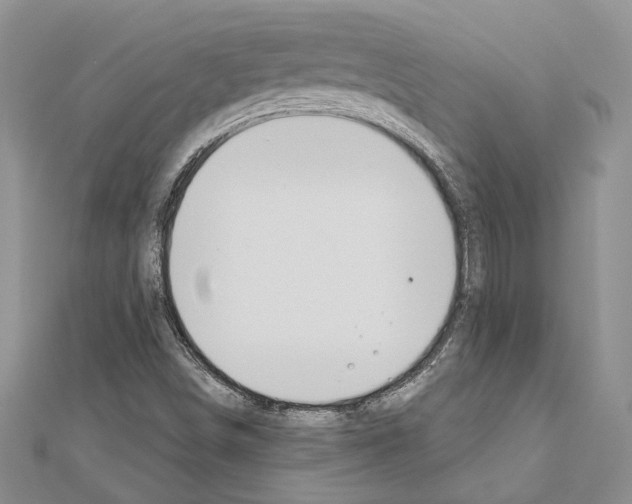 X0000110921498200907301551