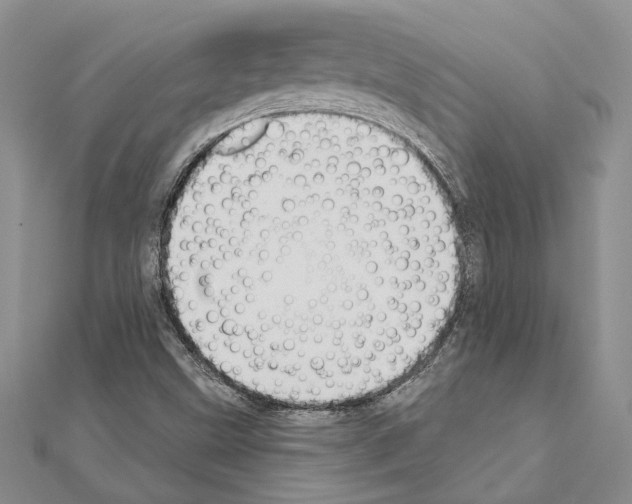 X0000110921499200907301551