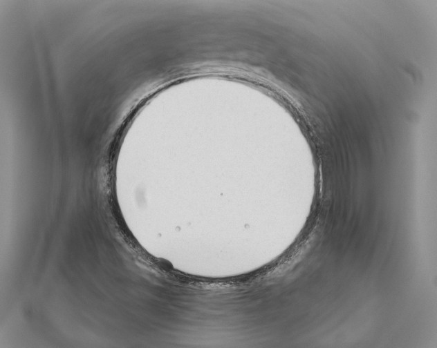 X0000110921501200907301551